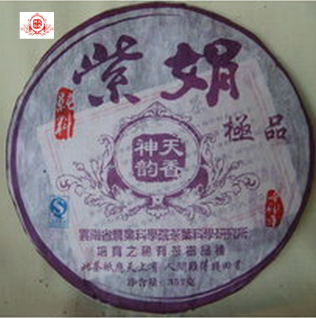 2012紫娟 稀有茶樹品種 雲南茶科所培育之優良品種 保健功效極佳 